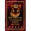 Schild Spruch "Hier wohnt verwöhnteste Kater...