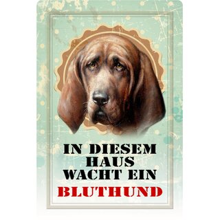 Schild Spruch "In diesem Haus wacht ein Bluthund" Hund 20 x 30 cm