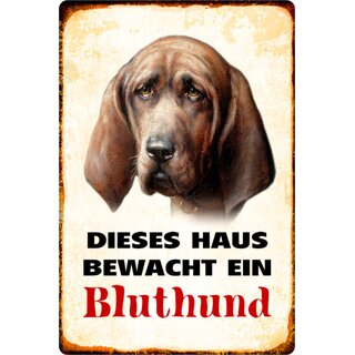 Schild Spruch "Dieses Haus bewacht ein Bluthund" Hund 20 x 30 cm