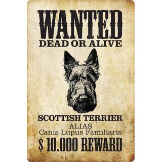 Schild Spruch "Wanted dead or alive Scottish Terrier Reward" 20 x 30 cm 