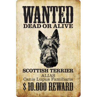 Schild Spruch "Wanted dead or alive Scottish Terrier Reward" 20 x 30 cm
