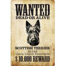 Schild Spruch "Wanted dead or alive Scottish Terrier...