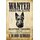 Schild Spruch "Wanted dead or alive Scottish Terrier Reward" 20 x 30 cm