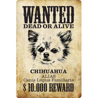 Schild Spruch "Wanted dead or alive Chihuahua Reward" 20 x 30 cm 