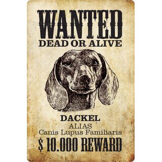 Schild Spruch "Wanted dead or alive Dackel Reward" 20 x 30 cm 