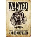 Schild Spruch Wanted dead or alive Dackel Reward 20 x 30 cm 