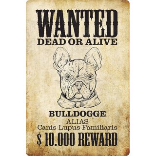 Schild Spruch "Wanted dead or alive Bulldogge Reward" 20 x 30 cm 