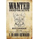 Schild Spruch "Wanted dead or alive Bulldogge...