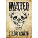 Schild Spruch "Wanted dead or alive Mops...