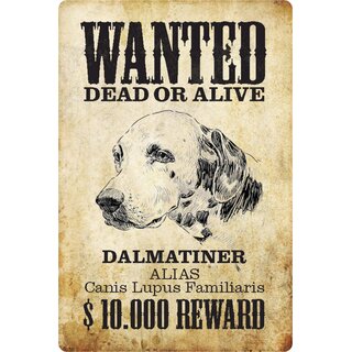 Schild Spruch "Wanted dead or alive Dalmatiner Reward" 20 x 30 cm