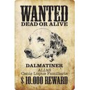 Schild Spruch "Wanted dead or alive Dalmatiner...