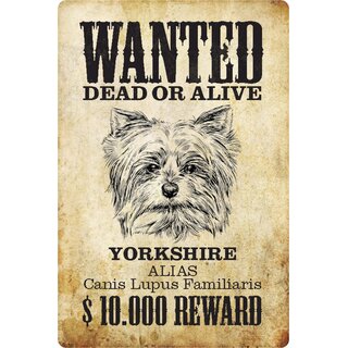 Schild Spruch "Wanted dead or alive Yorkshire Reward" 20 x 30 cm 