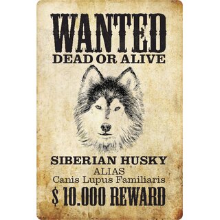 Schild Spruch "Wanted dead or alive Sibirian Husky Reward" 20 x 30 cm