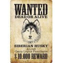 Schild Spruch "Wanted dead or alive Sibirian Husky...