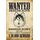 Schild Spruch "Wanted dead or alive Sibirian Husky Reward" 20 x 30 cm