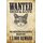 Schild Spruch "Wanted dead alive Schrödingers Katze Reward" 20 x 30 cm