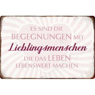 Schild Spruch "Begegnungen Lieblingsmenschen, lebenswert" 20 x 30 cm 