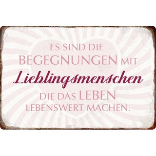 Schild Spruch "Begegnungen Lieblingsmenschen, lebenswert" 20 x 30 cm
