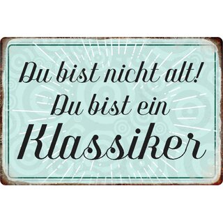 Schild Spruch "Du bist nicht alt, du bist ein Klassiker" 20 x 30 cm 