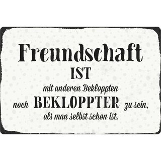 Schild Spruch "Freundschaft mit Bekloppten bekloppter sein" 20 x 30 cm 