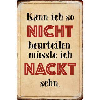 Schild Spruch "Kann nicht beurteilen, müsste ich nackt sehn" 20 x 30 cm