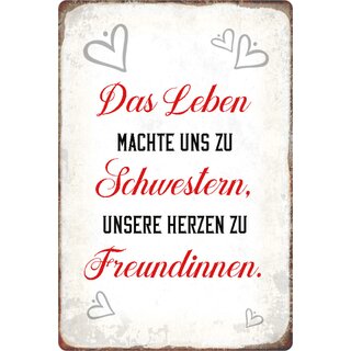 Schild Spruch "Leben machte Schwestern, Herzen Freundinnen" 20 x 30 cm 