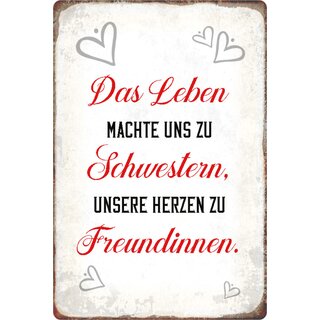 Schild Spruch "Leben machte Schwestern, Herzen Freundinnen" 20 x 30 cm