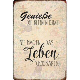 Schild Spruch "Genieße kleinen Dinge, machen Leben großartig" 20 x 30 cm