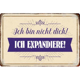 Schild Spruch "Ich bin nicht dick, ich expandiere" 20 x 30 cm
