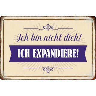 Schild Spruch "Ich bin nicht dick, ich expandiere" 20 x 30 cm 