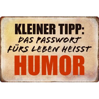 Schild Spruch "Kleiner Tipp, Passwort fürs Leben heißt Humor" 20 x 30 cm 