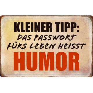 Schild Spruch "Kleiner Tipp, Passwort fürs Leben heißt Humor" 20 x 30 cm