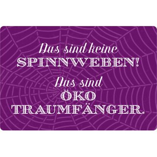 Schild Spruch "keine Spinnenweben, Traumfänger" 20 x 30 cm