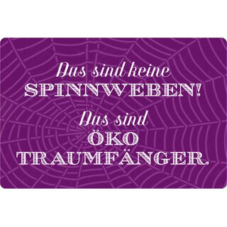 Schild Spruch "keine Spinnenweben, Traumfänger" 20 x 30 cm 