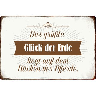 Schild Spruch "größte Glück der Erde auf Rücken der Pferde" 20 x 30 cm