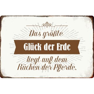 Schild Spruch "größte Glück der Erde auf Rücken der Pferde" 20 x 30 cm 