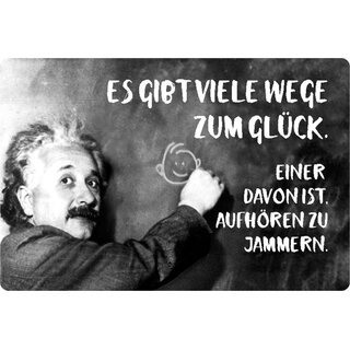 Schild Spruch "Wege zum Glück, aufhören zu jammern" Einstein 20 x 30 cm