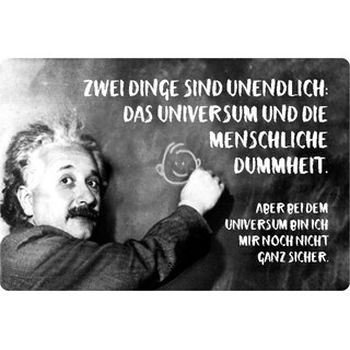 Schild Spruch "unendlich, Universum menschliche Dummheit" Einstein 20 x 30 cm 