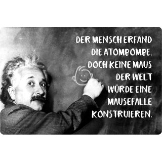 Schild Spruch "Mensch Atombombe, Maus Mausefalle konstruieren" Einstein 20 x 30 cm 