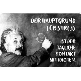 Schild Spruch "Hauptgrund Stress tägliche Kontakt Idioten" Einstein 20 x 30 cm 