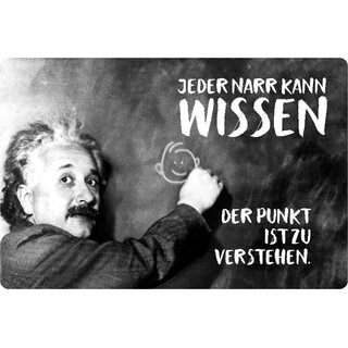 Schild Spruch "Jeder Narr Wissen, Punkt ist verstehen" Einstein 20 x 30 cm