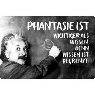 Schild Spruch "Phantasie wichtiger als Wissen, begrenzt" Einstein 20 x 30 cm