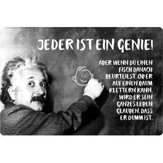 Schild Spruch "jeder Genie, Fisch beurteilst klettern dumm" Einstein 20 x 30 cm 