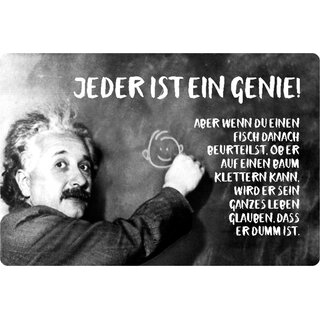 Schild Spruch "jeder Genie, Fisch beurteilst klettern dumm" Einstein 20 x 30 cm