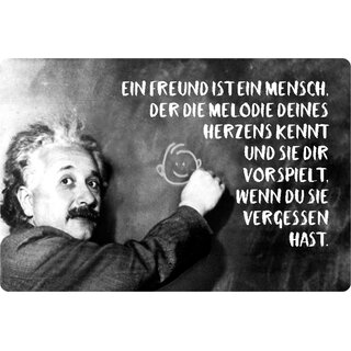 Schild Spruch "Freund Mensch Melodie Herz vorspielt" Einstein 20 x 30 cm 