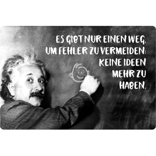 Schild Spruch "Weg Fehler vermeiden, keine Ideen" Einstein 20 x 30 cm 