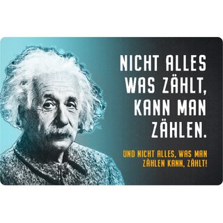 Schild Spruch "Nicht alles, was zählt kann zählen" Einstein blau 20 x 30 cm 