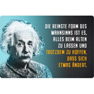 Schild Spruch "reinste Form Wahnsinn, Alten ändert" Einstein blau 20 x 30 cm 