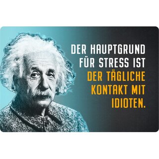 Schild Spruch "Hauptgrund Stress Kontakt Idioten" Einstein blau 20 x 30 cm 