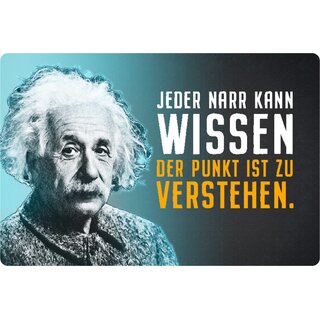 Schild Spruch "Jeder Narr Wissen, Punkt verstehen" Einstein blau 20 x 30 cm 